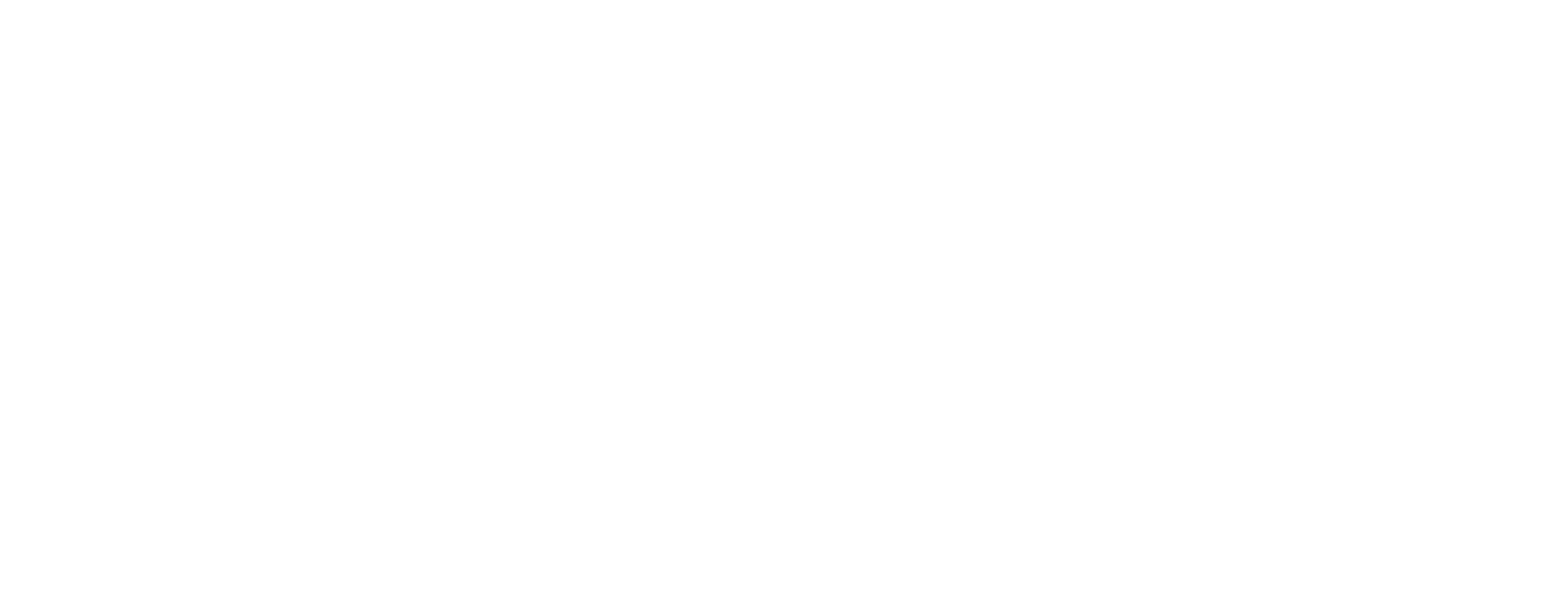 Anisa. Uno de nuestros clientes de hosting en wave Ecuador.