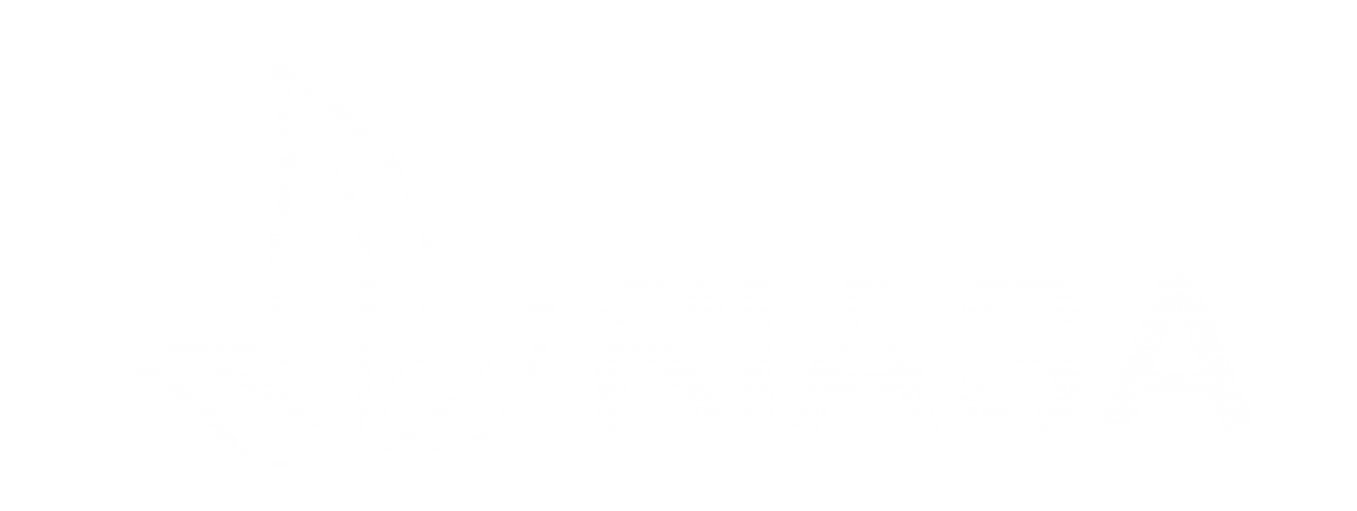 Riasa. Uno de nuestros clientes de hosting en wave Ecuador.