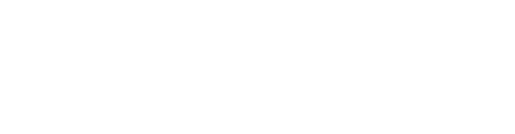 BOLD-POS-Logo-Blanco-1024x267